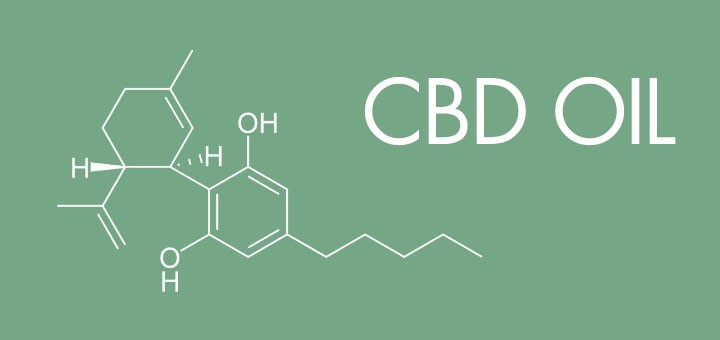 CBD Oil Maker Hampton 
      SC 29924